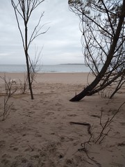 DUNE DE SABLE