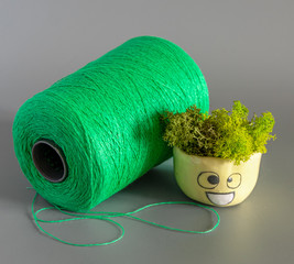A bobbin of yarn and green moss in a flowerpot on a gray background. Still life.