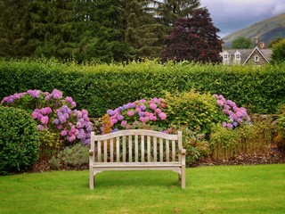 Garden Bench and Rhododendrons 