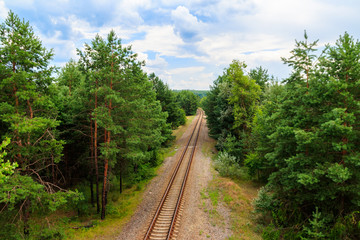 Obraz premium Aerial view of railroad track through a green pine forest