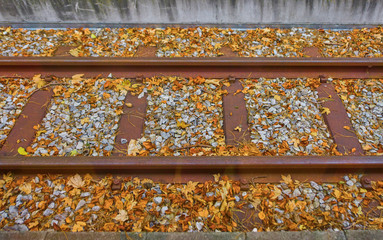 Railways with autumn foliage