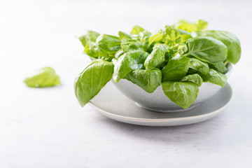 Fresh green basil