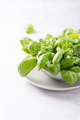Fresh green basil
