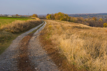 Fototapeta na wymiar Autumnal rural landscape with earth road leading to remote village Grusheve in Sumskaya oblast, Ukraine
