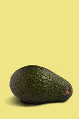 Single avocado over lihgt yellow background