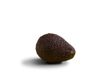 Single avocado over white background