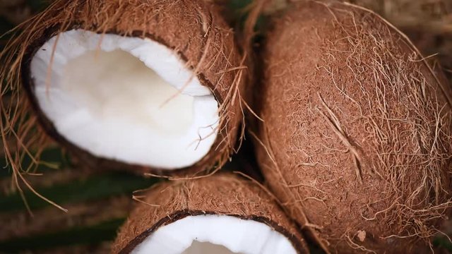 Ripe coconuts on palm branch, rotating background. Top view. Tropical fruit. Healthy food, skin care concept. Coconut water and milk. Vegan food.