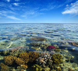 Sea with coral reef and clouds