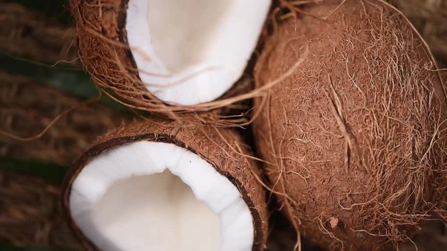 Ripe coconuts on palm branch, rotating background. Top view. Tropical fruit. Healthy food, skin care concept. Coconut water and milk. Vegan food.