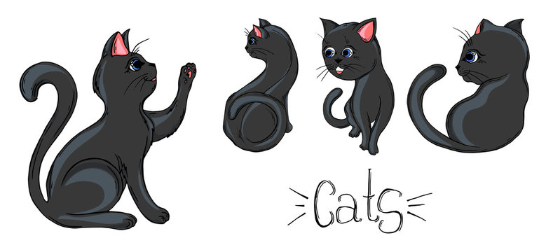 Painted set of black cats in different poses.