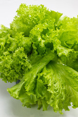 Green lettuce  on white background, close-up.
