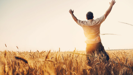 Silhouette of Man with hands up standing in wheat field. Beautiful Nature Sunset Landscape. Rural Scenery under Shining Sunlight. Background of ripening ears of wheat field. Rich harvest Concept. © Anton