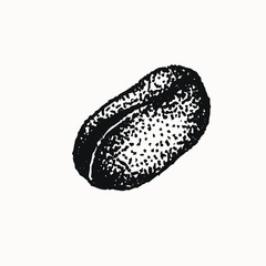 Vintage coffee bean isolated hand drawn illustration element set for logo design , clip art symbol cafe branding. coffee beverage drawing. For your creative projects and graphic design.