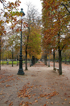 allee in den tuilerien
