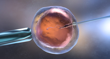 Artificial insemination or in vitro fertilization - obrazy, fototapety, plakaty