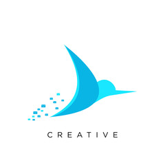 bird logo design vector