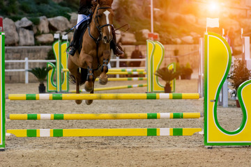 Horse Jumping an obstacle during an equestrian competition on Blurred Background