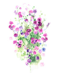 Flowers watercolor illustration.Manual composition.Big Set watercolor elements，Design for textile, wallpapers，Element for design,Greeting card