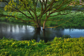 Fototapeta na wymiar Dawn in the valley of a picturesque river. quiet morning. spring landscape