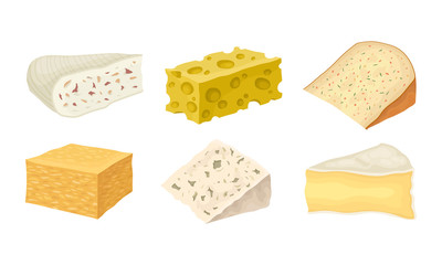 Cheese Types with Blue Cheese and Swiss Cheese Slabs Vector Set