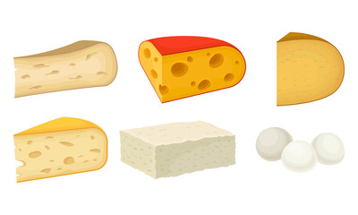 Cheese Types with Soft Cheese and Swiss Cheese Slabs Vector Set