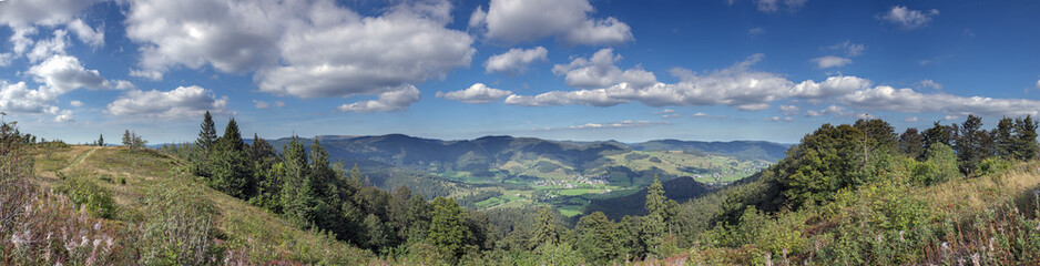 Schwarzwald Blössling, Feldbergsicht