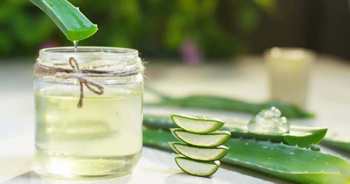 Closeup green fresh organic aloe vera leaf with aloevera slices in wooden spoon isolated on white background. Top view. Flat lay.