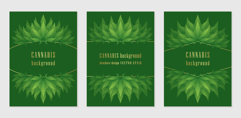 Vector set of cover design template with wonderful frame or border of cannabis leaves; Contrast green backgrounds with golden elements and green summer plants for products and printing with marijuana.