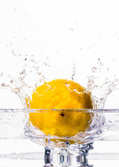 Fototapeta na wymiar Lemon in water splashes with white background