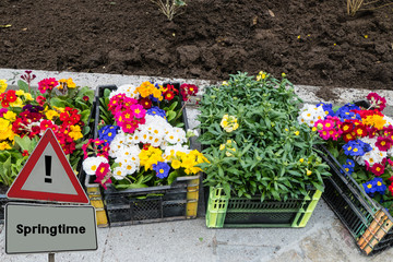 Sign Springtime Urban Gardening 