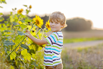 Happy little blond kid boy on summer sunflower field outdoors. Cute preschool child having fun on warm summer evening at sunset. Kids and nature.