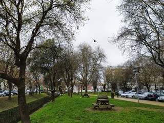 bench in park