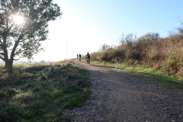 Gravel Cycling