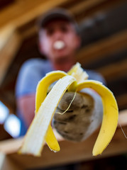 Banana in the hands of a worker at a construction site.