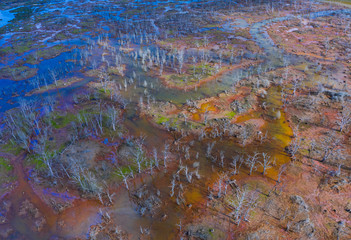 Marisma de Rubin, Rio del Escudo, Oyambre Natural Park, San Vicente de la Barquera, Cantabrian Sea, Cantabria, Spain, Europe