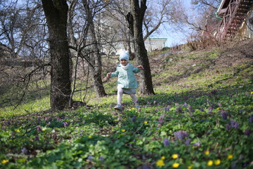  A little girl walks in the spring botanical garden with an apple in her hands and eats it where the primroses bloomed