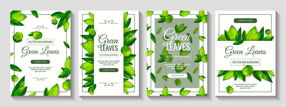 Set of A4 cards with fresh green leaves on the white background. Vector illustrations for invitation, wedding, anniversary, card, postcard, flyer, banner, poster, cover.
