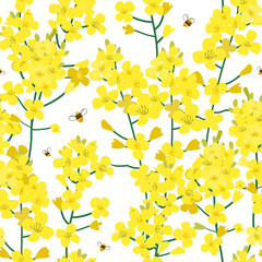 Seamless rape plant pattern, vector flower background. Texture for print, spring summer fashion, textile design, fabric, honey shop website, wallpaper
