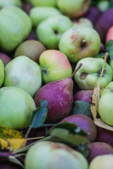 Äpfel und Birnen