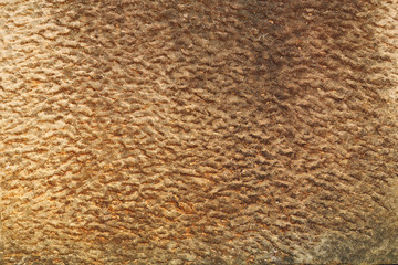 Detail of sandstone background or texture