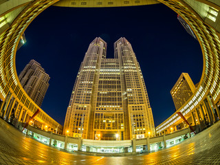 都庁  Tokyo Metropolitan Government 2