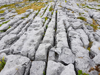Detail karst area in the west of Ireland. Rocky ground. Burren 