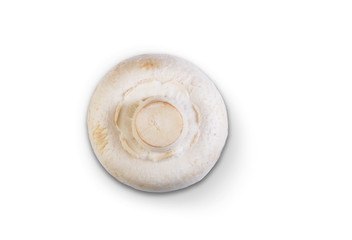 Champignon mushrooms close-up isolated on a white background.