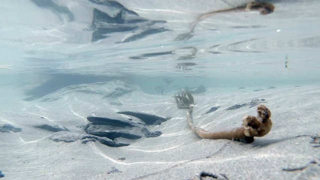 Underwater view of the Donegal West Coast on the wild Atlantic way in Ireland