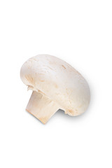 Champignon mushrooms close-up isolated on a white background.