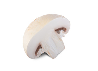 Half of the mushroom is isolated on a white background.