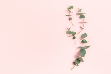 Frame made of eucalyptus branches. Green leaves composition with place for text on a pink pastel background.