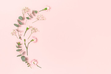 Obraz na płótnie Canvas Frame made of gypsophila, carnation flowers and eucalyptus. Floral composition on a pink pastel background.