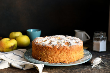 Charlotte - a classic pie with apples on a concrete background.