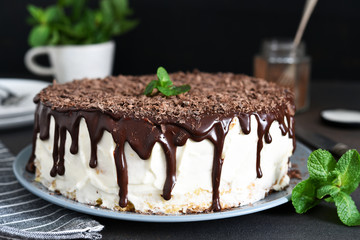 Vanilla cake with chocolate icing, chocolate chips and mint on a dark background.